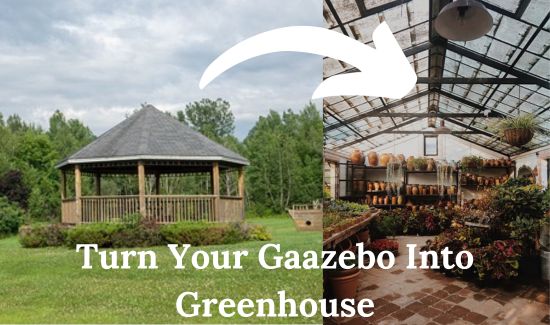 gazebo to greenhouse